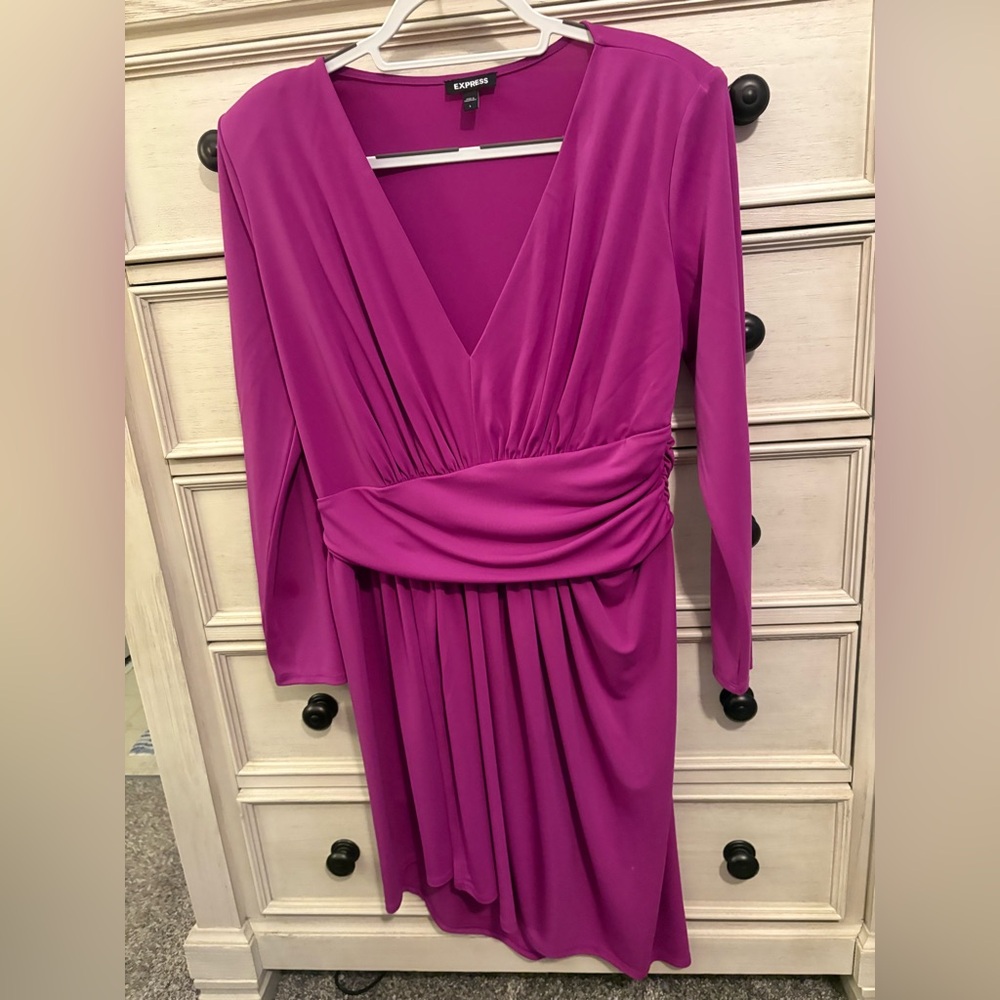 Express Fushia Dress